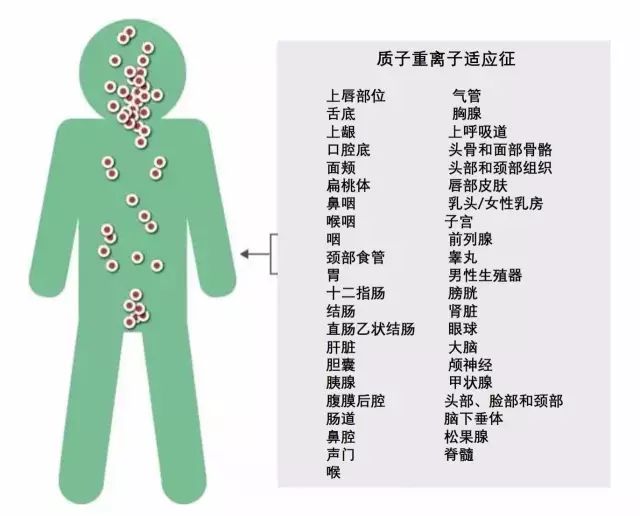 质子重离子放疗的适应征