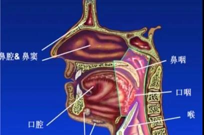 鼻咽癌放疗易发的副作用有哪些？