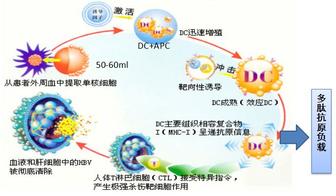 胃癌患者究竟如何预防复发？