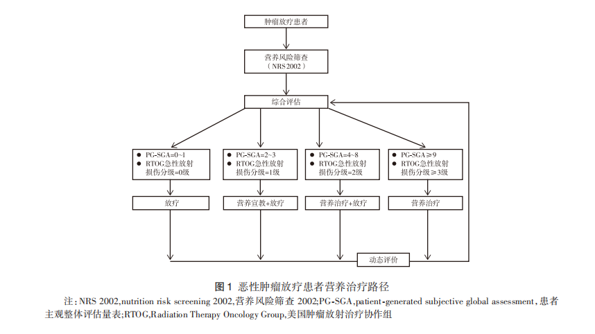 放疗患者营养治疗专家共识