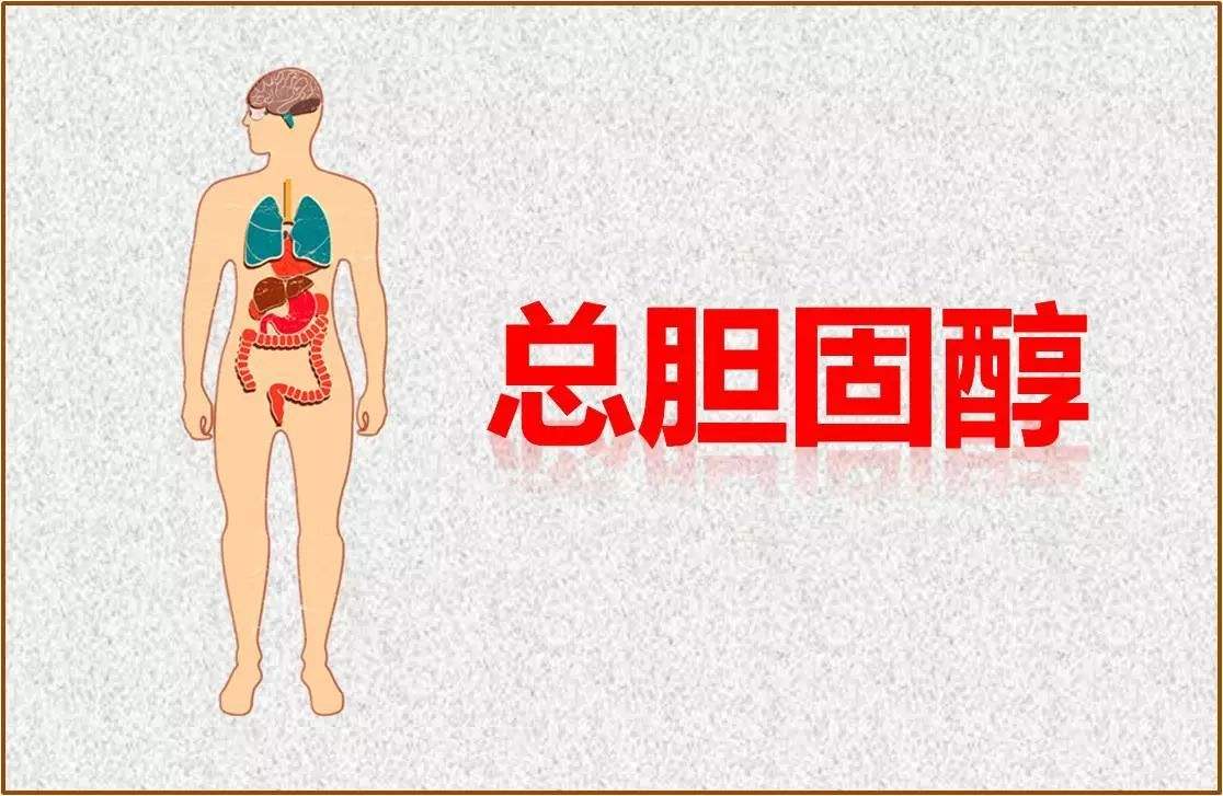 血脂与乳腺癌有关吗？