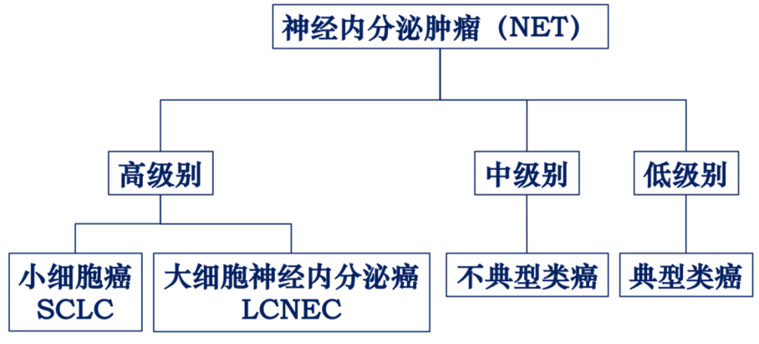 如何看懂肺癌【病理报告】？