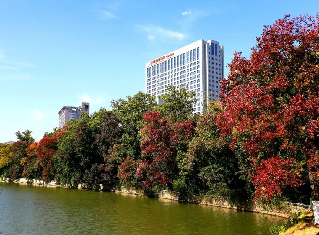 中国科学技术大学附属第一医院（安徽省立医院）简介