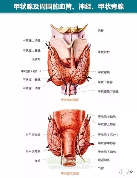 “我的手术是甲状腺全切术，为什么还有残留？”90%甲癌患者的困惑