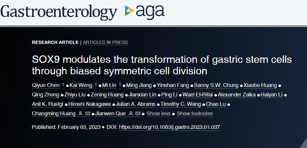 全球顶刊｜福建医科大学附属协和医院胃外科黄昌明教授团队在《Gastroenterology》期刊发表论著