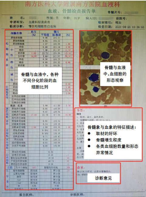 一篇教你如何看懂化验单