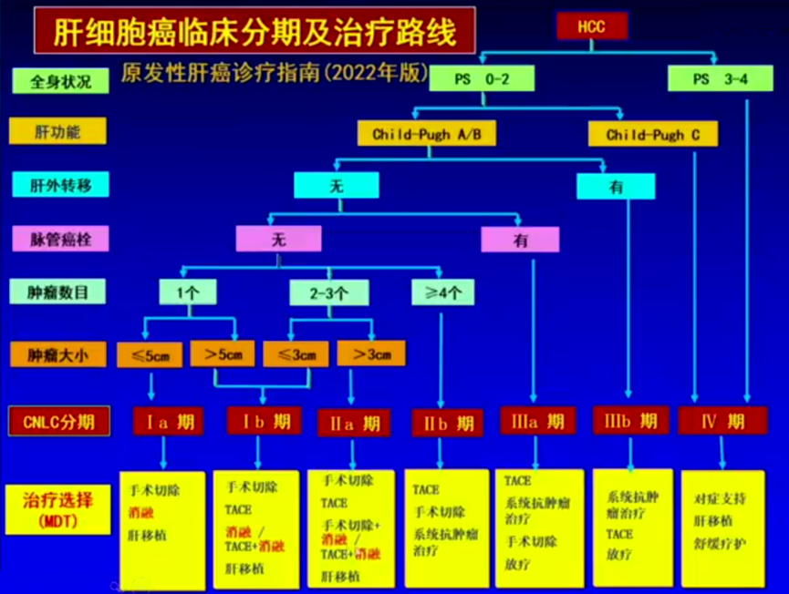 叶胜龙教授：肝癌消融治疗规范管理