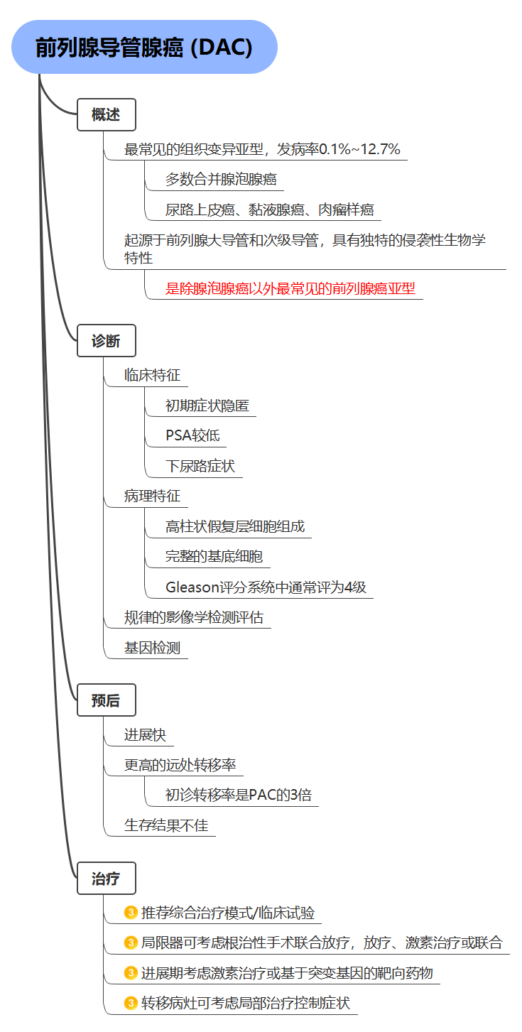 一图读懂前列腺导管腺癌(DAC)/CSSO指南