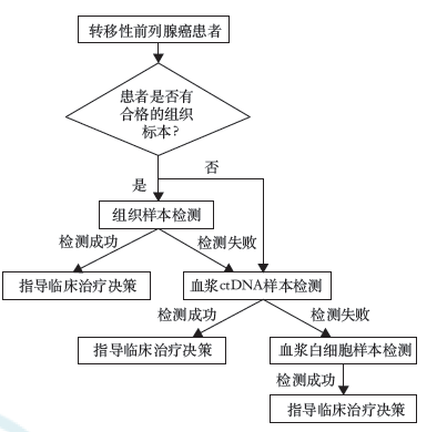 共识与指南 | 前列腺癌同源重组修复基因检测及变异解读专家共识