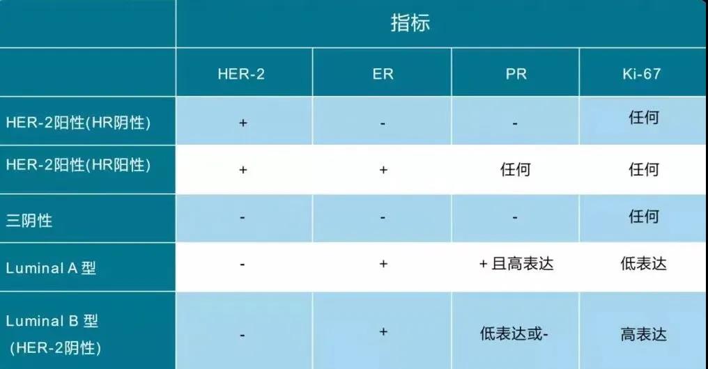 乳腺癌分子分型介绍