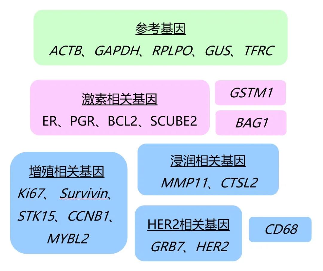 乳腺癌术后会复发吗？需要继续化疗吗？做这个检测试试