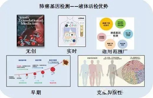 科普：为什么查出肺癌做基因检测如此重要？