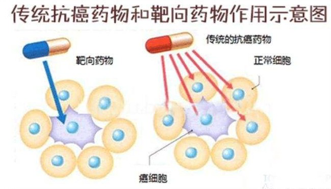 【综述】人类肿瘤药物发展史