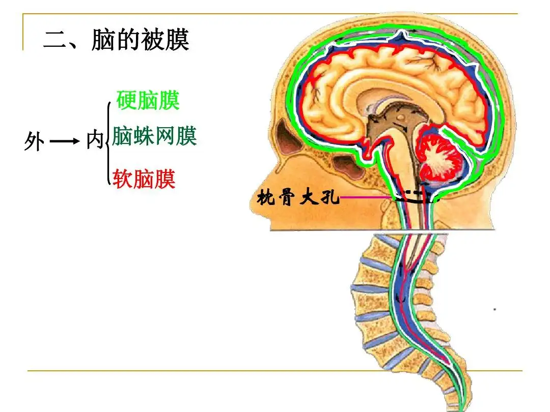 碰到“最凶险”的软脑膜转移该怎么办？