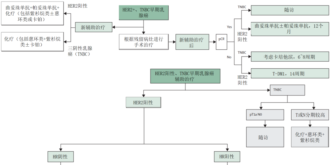 5表概览：各亚型乳腺癌治疗策略