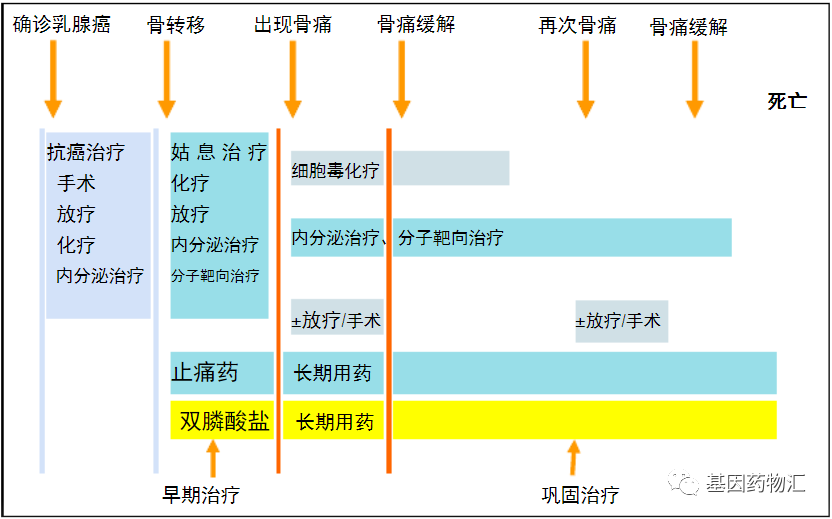 超过一半乳腺癌患者会发生的骨转移，全面治疗指南不容错过！