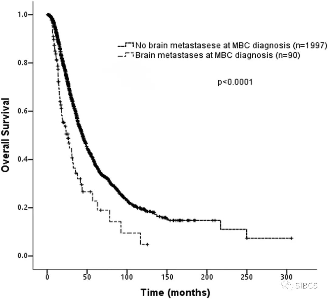最新研究：中国初诊乳腺癌脑转移患者生存结局