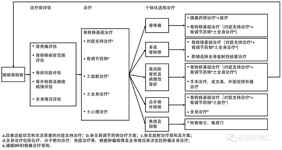 超过一半乳腺癌患者会发生的骨转移，全面治疗指南不容错过！