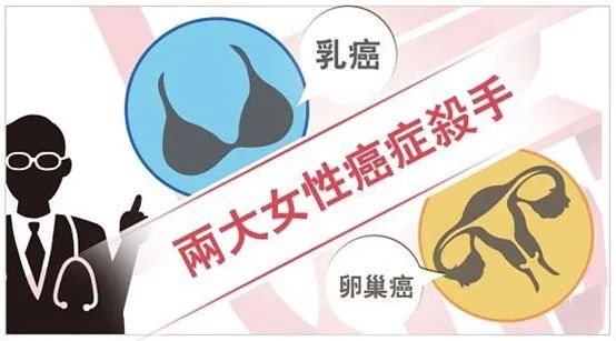 本是同根生？乳腺癌与卵巢癌有关吗？