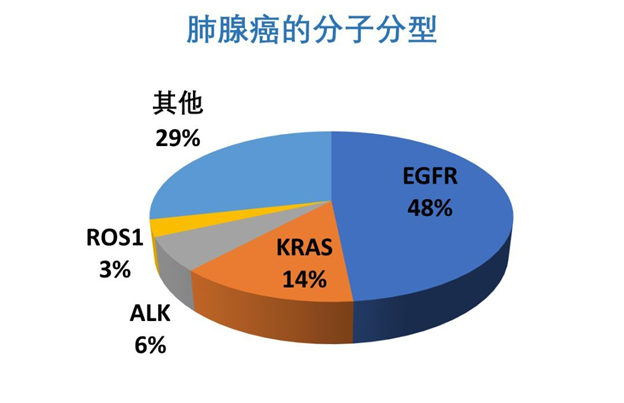 塞瑞替尼中国获批肺癌一线！为什么药减量了，效果反而更好？