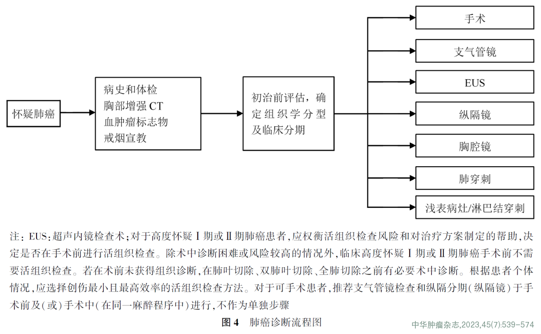 中华医学会肺癌临床诊疗指南(2023版)