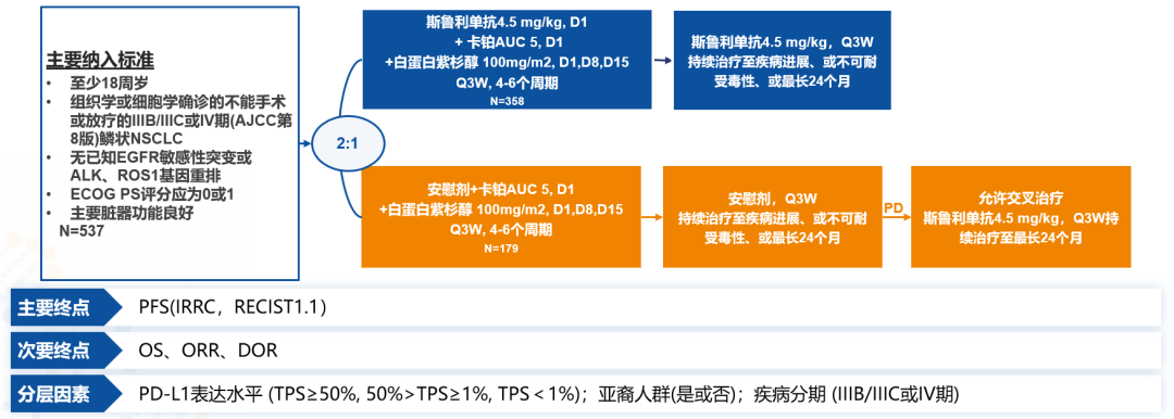 H药（斯鲁利单抗）研究解读—Astrum 004