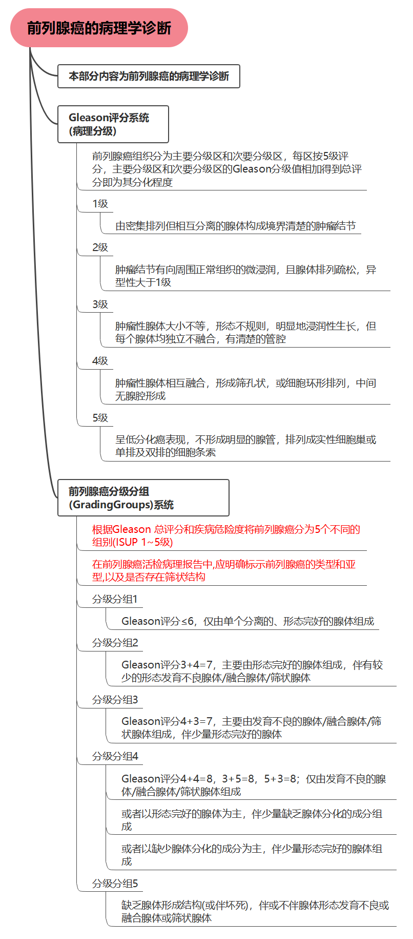 一图看懂CSCO前列腺病理学诊断